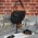CHRİSTİAN DİOR SADDLE MİCRO BAG CALFSKİN